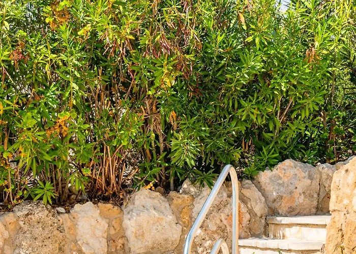 Aris By Ezoria * Tsadha